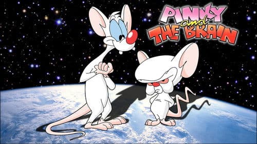 Pinky & der Brain Bild 5