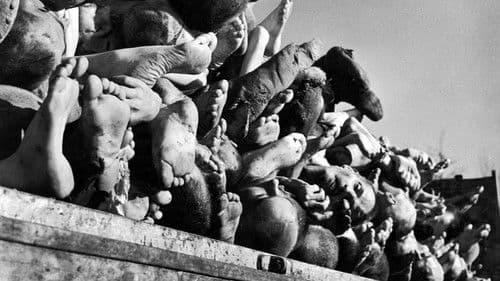 Histories of the Holocaust:Buchenwald Bild 1