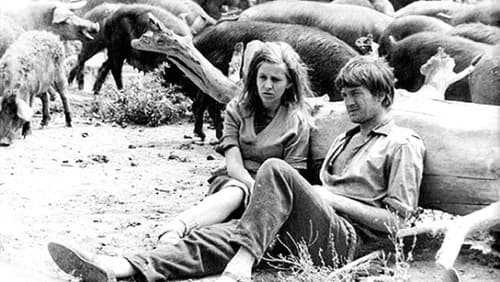 Биће скоро пропаст света Bild 1