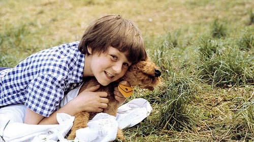 Ferien für den Hund Bild 1