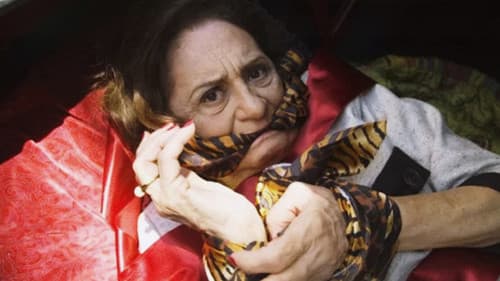 Muito Gelo e Dois Dedos d'Água Bild 4