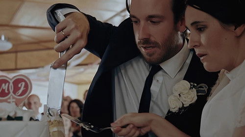 Kälber mit zwei Köpfen Bild 1