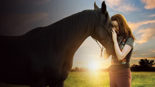 Flicka 3 - Beste Freunde Bild 7