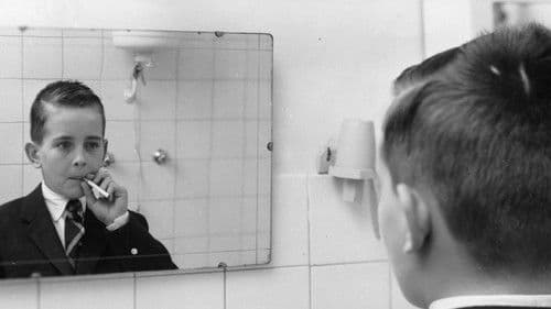 Del rosa... al amarillo Bild 2