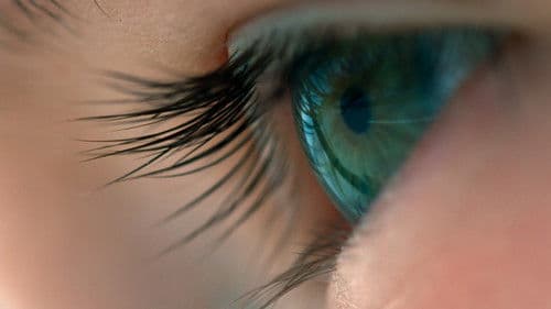 Voyage of Time: Life's Journey Bild 4