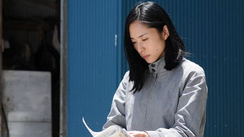 Journey to the Shore Bild 8