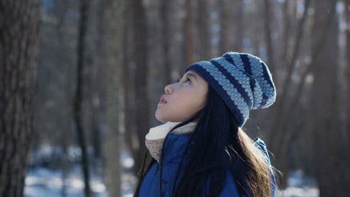 Evil Does Not Exist Bild 7