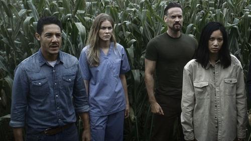 Escape the Field Bild 1