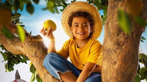 Chico Bento e a Goiabeira Maraviosa Bild 6