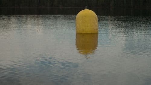 Le chant du coq Bild 6