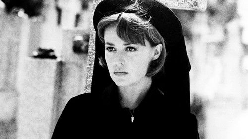 Die Braut trug schwarz Bild 2