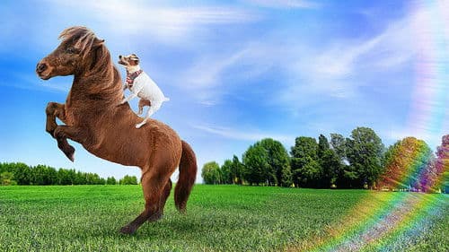 Adventures of Dally and Spanky Bild 1