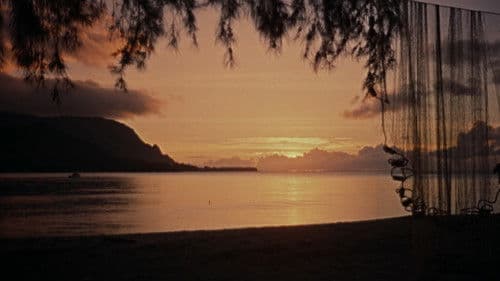 Die Hafenkneipe von Tahiti Bild 6