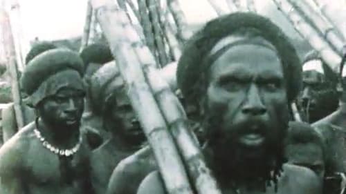 First Contact Bild 1