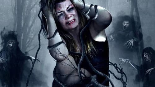 Trans Somnium Bild 1