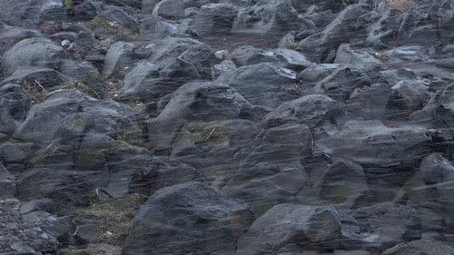 돌들이 말할 때까지 Bild 1