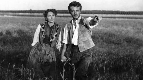 Die Mühle am Po Bild 6