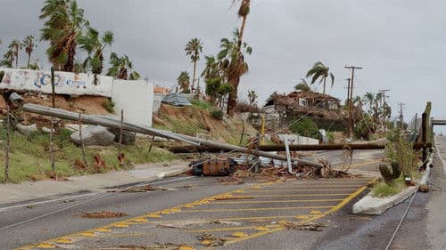 Der Wind - Motor des Klimawandels Bild 2