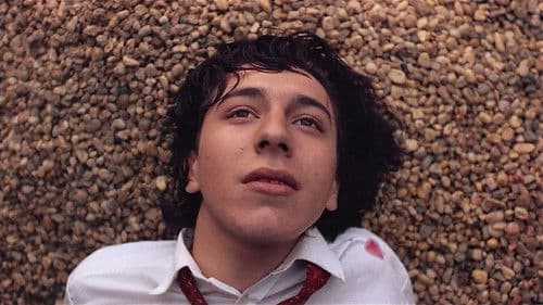 Die Zeit der Zigeuner Bild 7