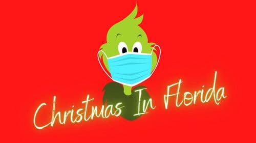 Christmas In Florida Bild 5