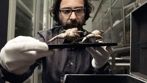 Das große Museum Bild 5