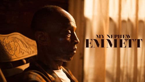 My Nephew Emmett Bild 2