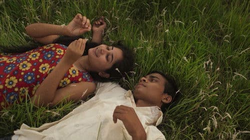 Bulbul Can Sing Bild 3