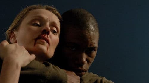 Cherry Tree Lane Bild 1