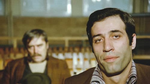 Meraklı Köfteci Bild 2