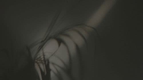 Once Faithful Bild 4