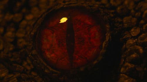 Ojos de Lagarto Bild 1