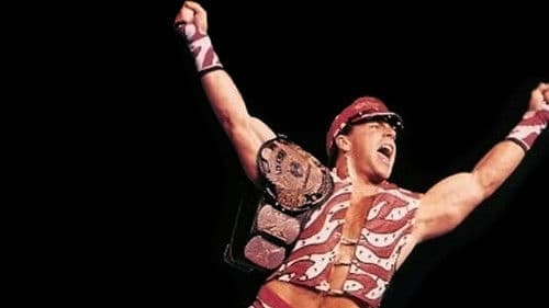 WWE SummerSlam 1996 Bild 1