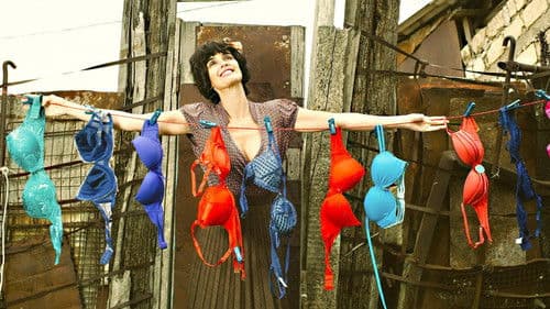 Vom Lokführer, der die Liebe suchte... Bild 4