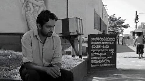 කූඹියෝ Bild 2