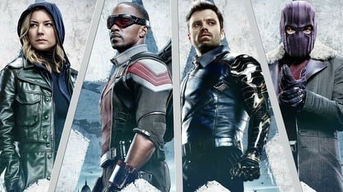 The Falcon and the Winter Soldier Bild 8