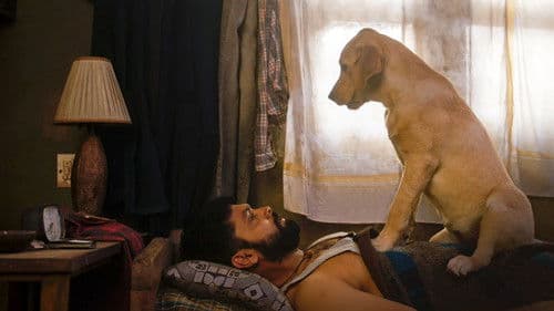 777 ಚಾರ್ಲಿ Bild 3