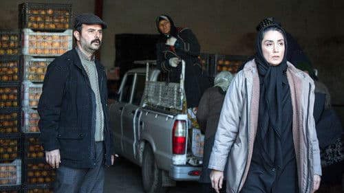 روزهای نارنجی Bild 5