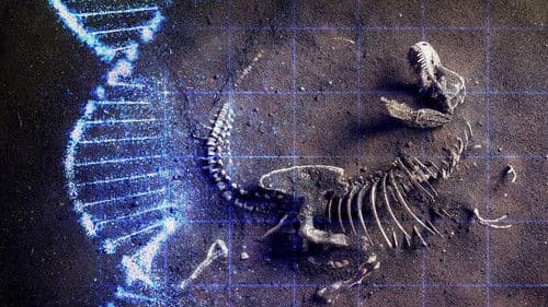 T-Rex Das wahre Biest hinter der Legende Bild 1