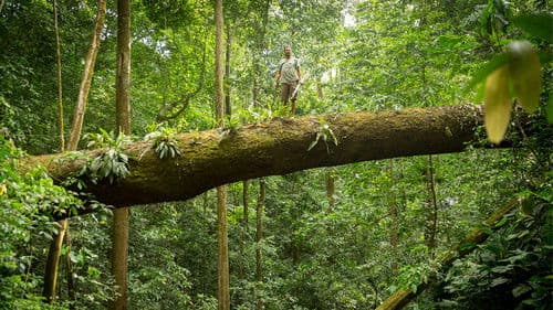 Primal Survivor: Most Extreme Bild 5