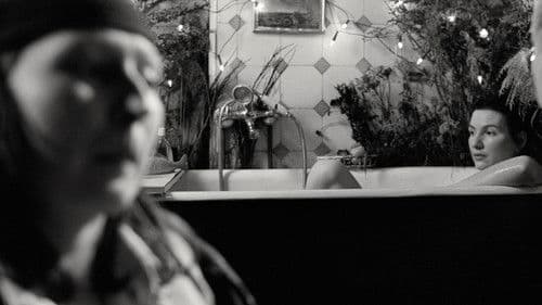 Nicht nichts ohne Dich Bild 1