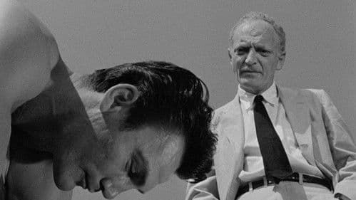 Hollywood-Story Bild 3