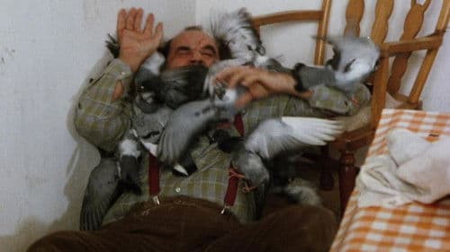 El ataque de los pájaros Bild 1