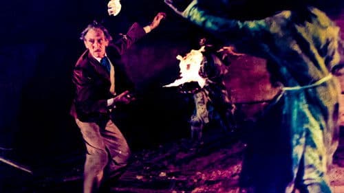 Die 7 goldenen Vampire Bild 4