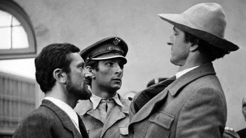 Słońce wschodzi raz na dzień Bild 4