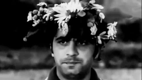 Bizi Dağlarda Axtarın Bild 1