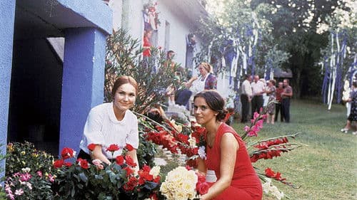 Pásla kone na betóne Bild 1