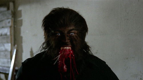 Nacht der Vampire Bild 2