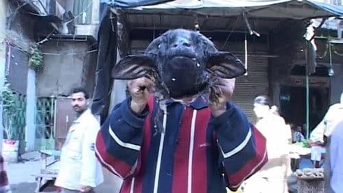 Sons of Osiris Bild 1