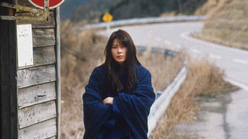 Das Licht der Illusion Bild 5