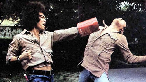 Samtpfötchen - Die Kung-Fu Katze von Chinatown Bild 1